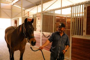 Man walking horse to it's stall